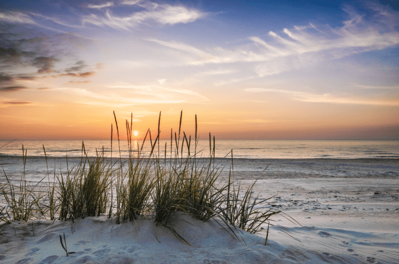 West Coast Beaches